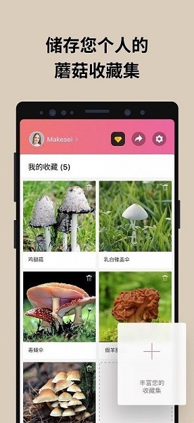 蘑菇识别扫一扫app  v2.9.17图1