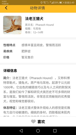 口袋乐看赚钱视频  v1.6.0图3