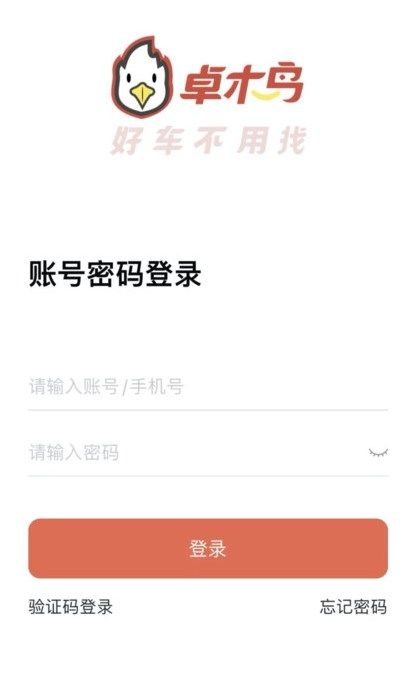 卓木鸟二手车
