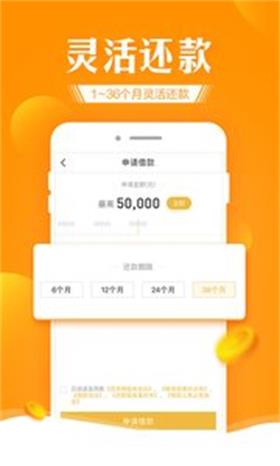 好信花2024