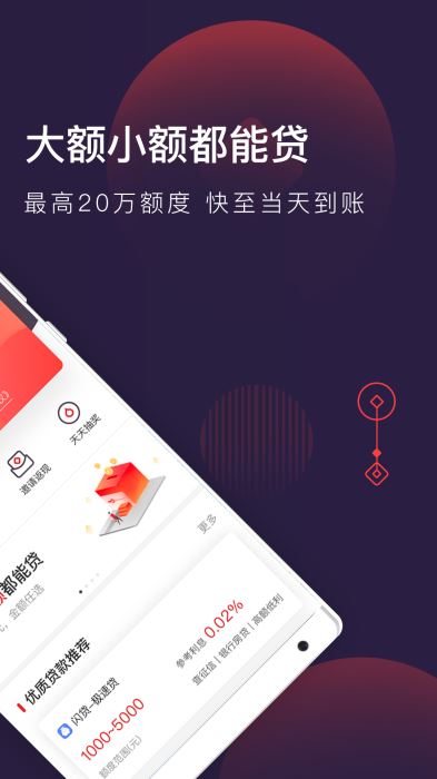 大王贷款app苹果  v1.1.0图5