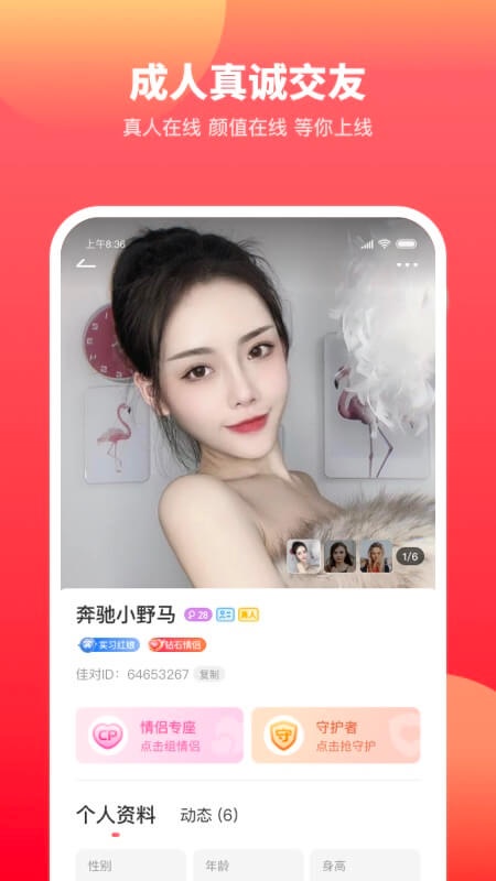 佳对相亲平台2024