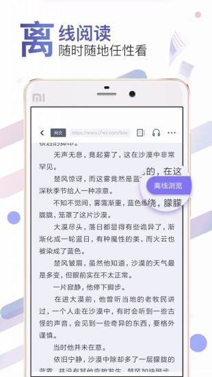 饭团小说pro下载安装