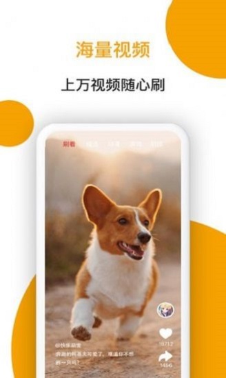 小狗看看手机版  v1.0.0.0图2