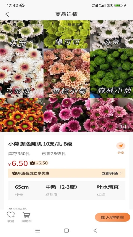 卖花人手机版