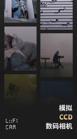 loficam相机app  v1.3图3