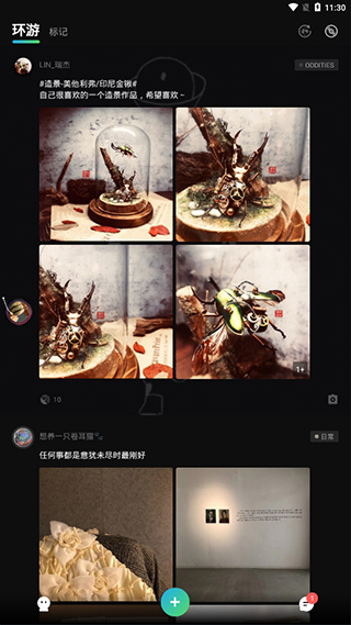 薇薇安与魔法之岛steam