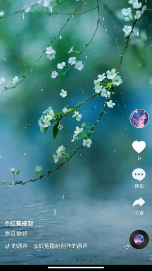 全民刷短剧正版  v2.8.3图2