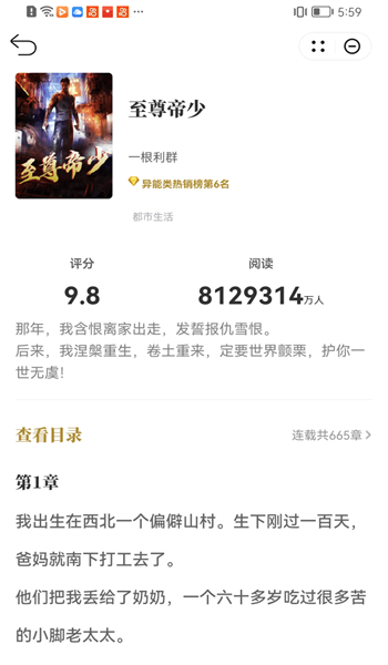 顽石小说百度云网盘