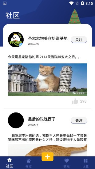 宝贝宠物手机版下载安装最新版本苹果12视频  v1.0.2图2