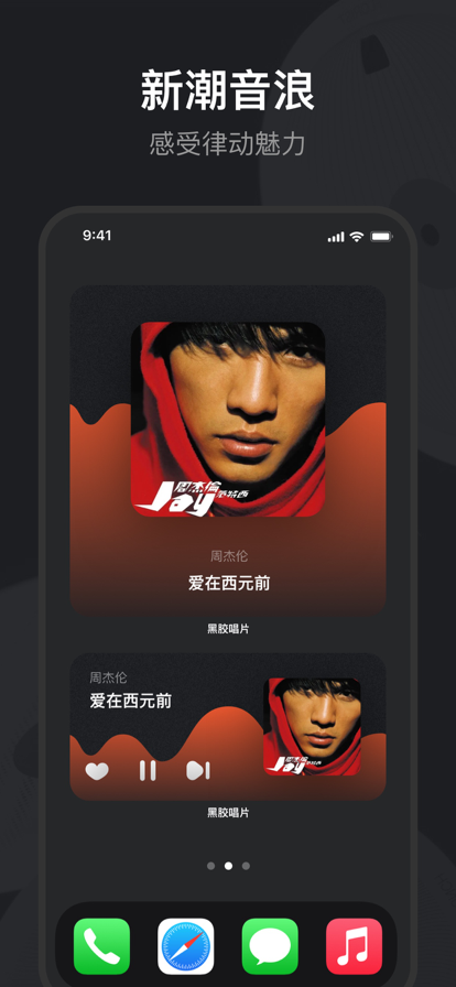 黑胶唱片软件下载安装苹果手机版  v1.0.0图3