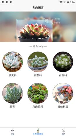 肉叶汉字拼音  v1.0图1