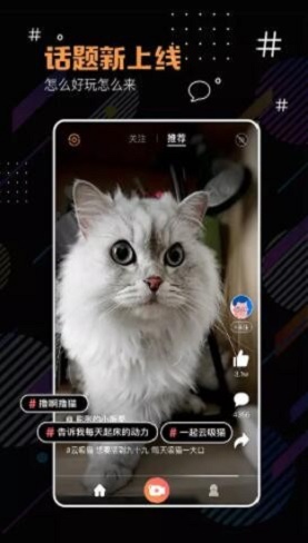河豚小视频手机版下载安装免费