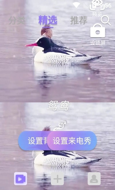 视频铃声来电秀下载安装  v2.2.0图3