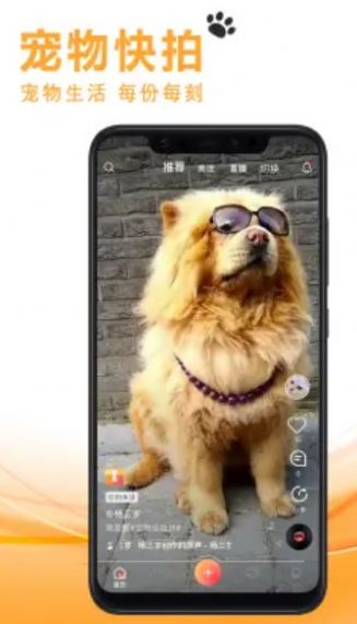 宠友社交手机版下载  v1.0.7图2