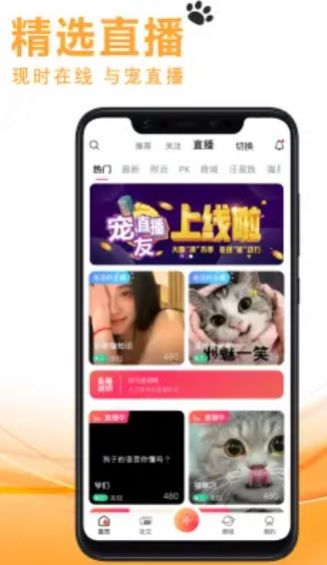 宠友社交手机版下载