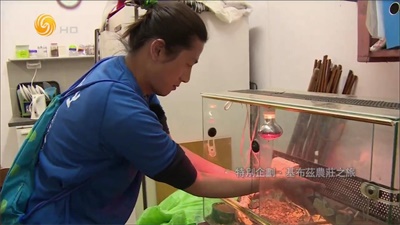 大视界TV手机版