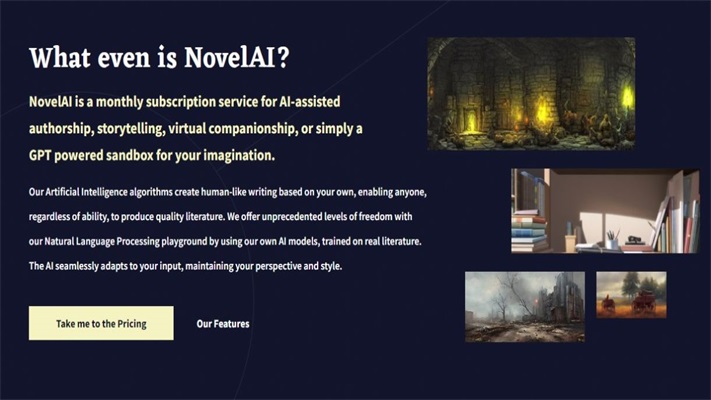 NovelAI绘画软件