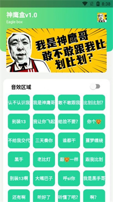 神鹰盒8.0免费版