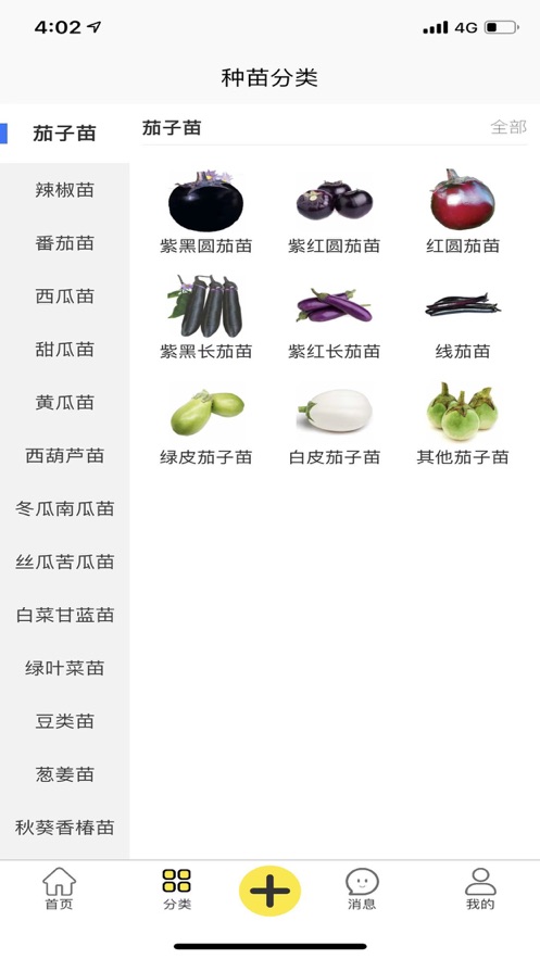 苗哆哆安卓版