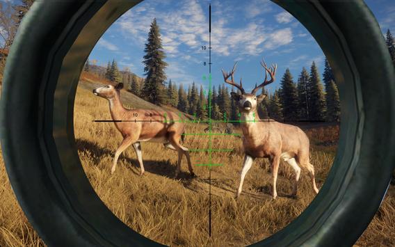 Deer