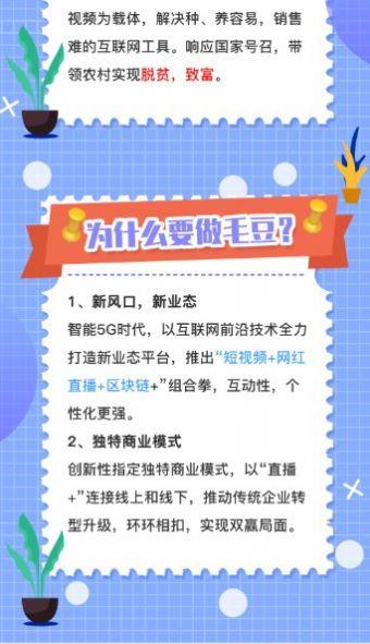 毛豆短视频app