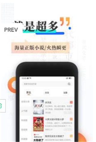 旗芬小说app