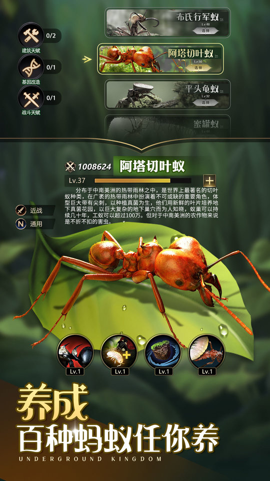 小小蚁国37游戏官网  v1.49.0图2
