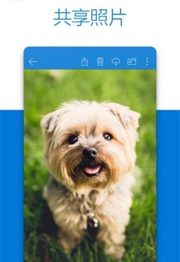 onedrive中国版下载