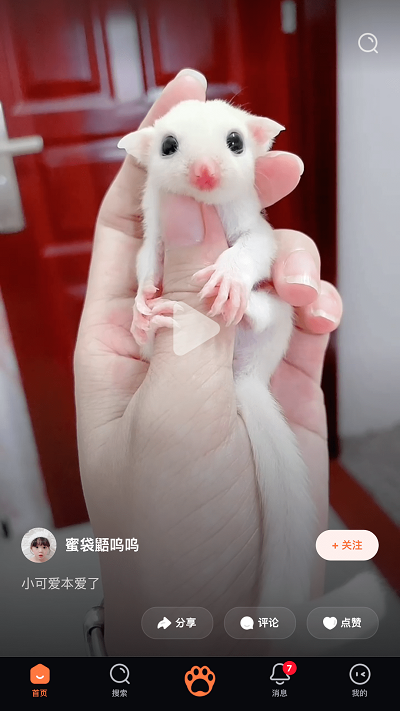 铲屎啦安卓版