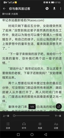 极光小说最新版下载安装苹果版  v1.0图3