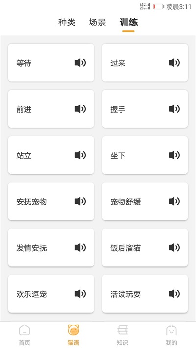 播放猫咪翻译器软件下载苹果版安装