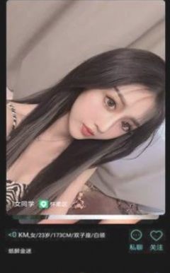 小草的旗帜新时代的我们小说