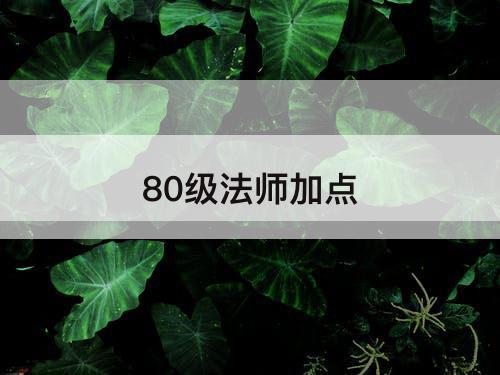 80级法师加点