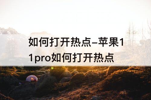 如何打开热点-苹果11pro如何打开热点